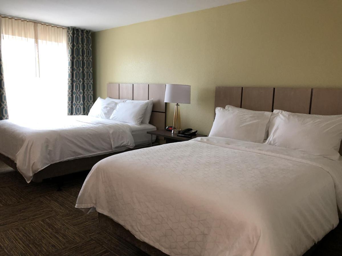 Studio Suite Two Queen Beds,1284412189:JPEG