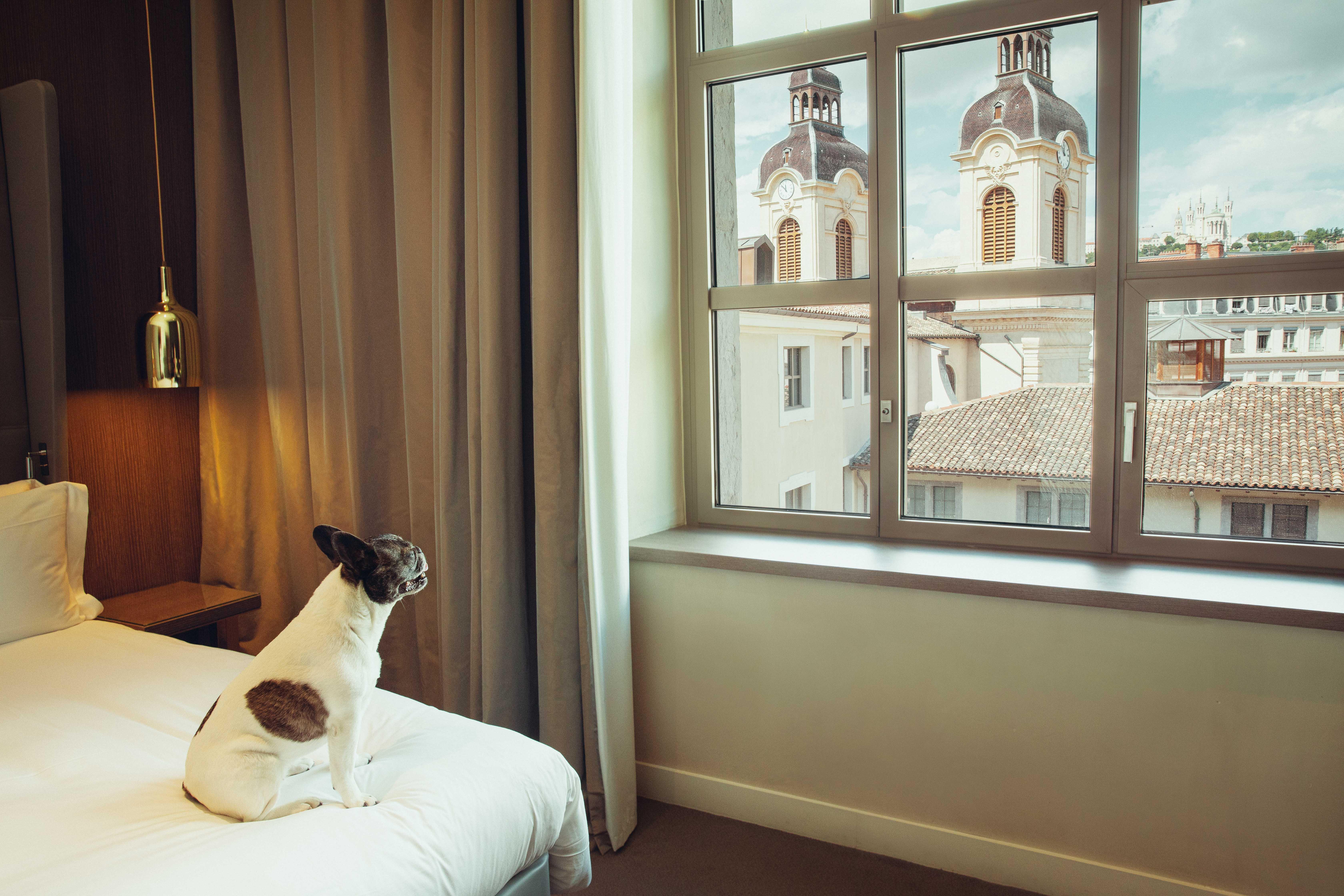 Premium King Room with Courtyard View,1555935124:JPEG