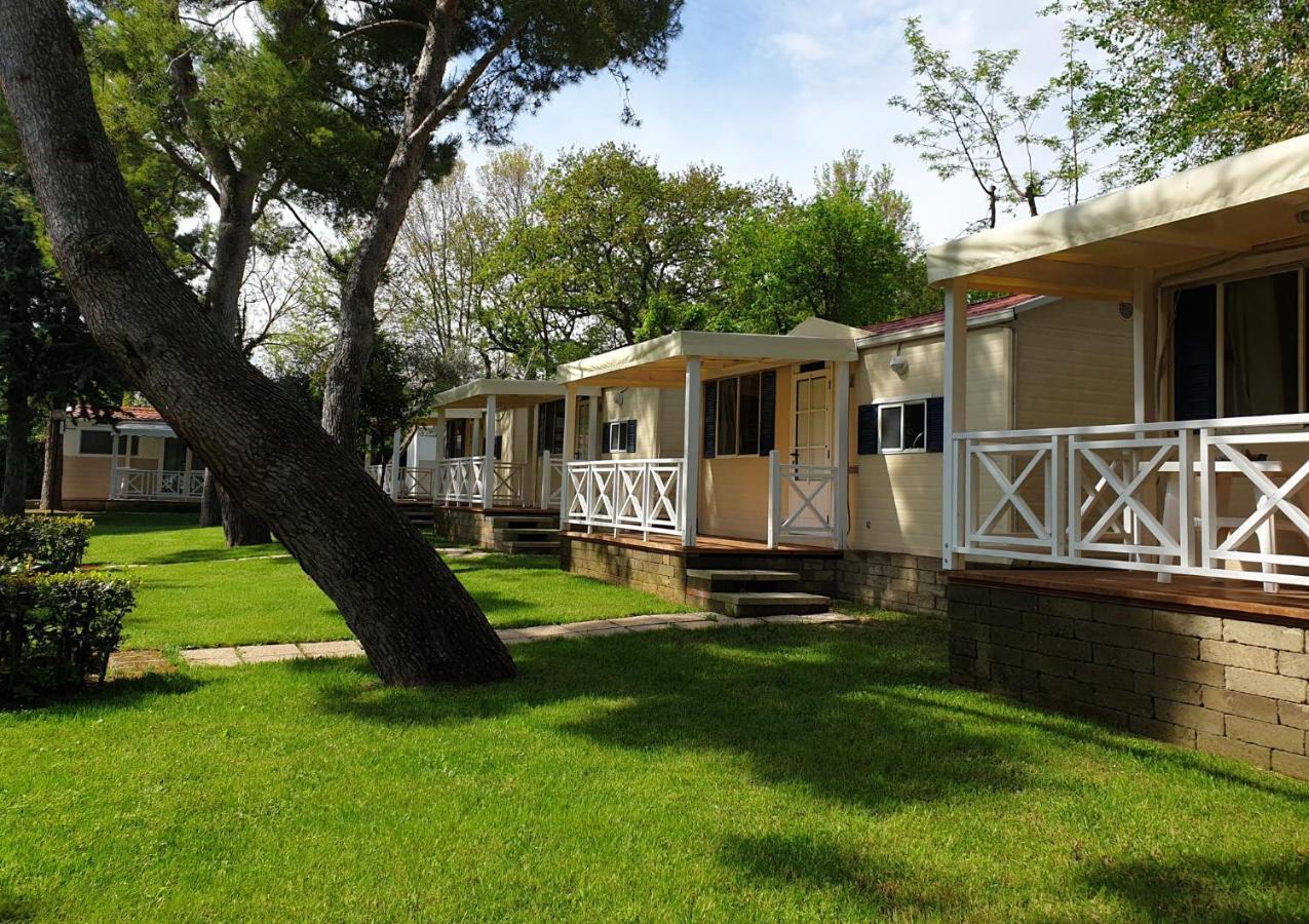 Easy Mobile Home,1774490238:JPEG