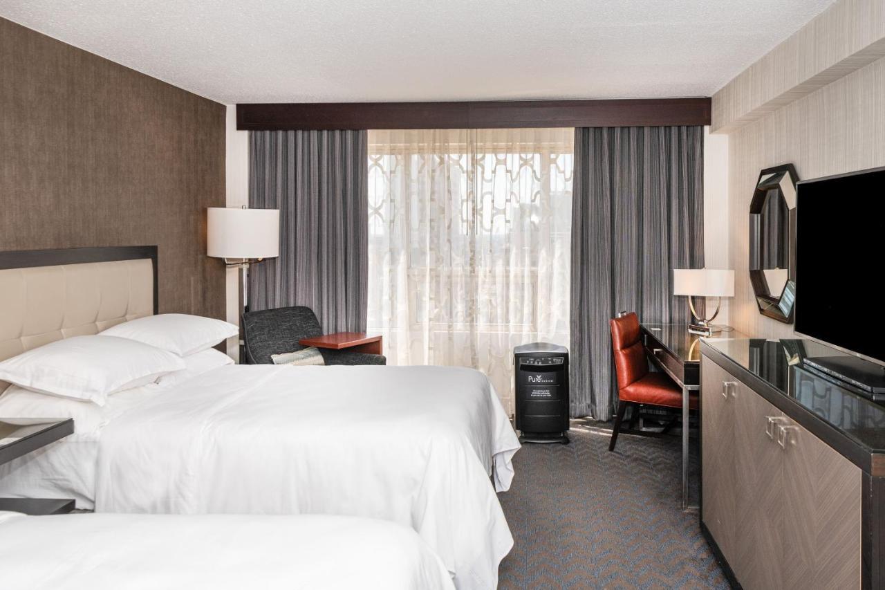 Traditional 2 Beds Guest room 2 Double,1617841642:JPEG