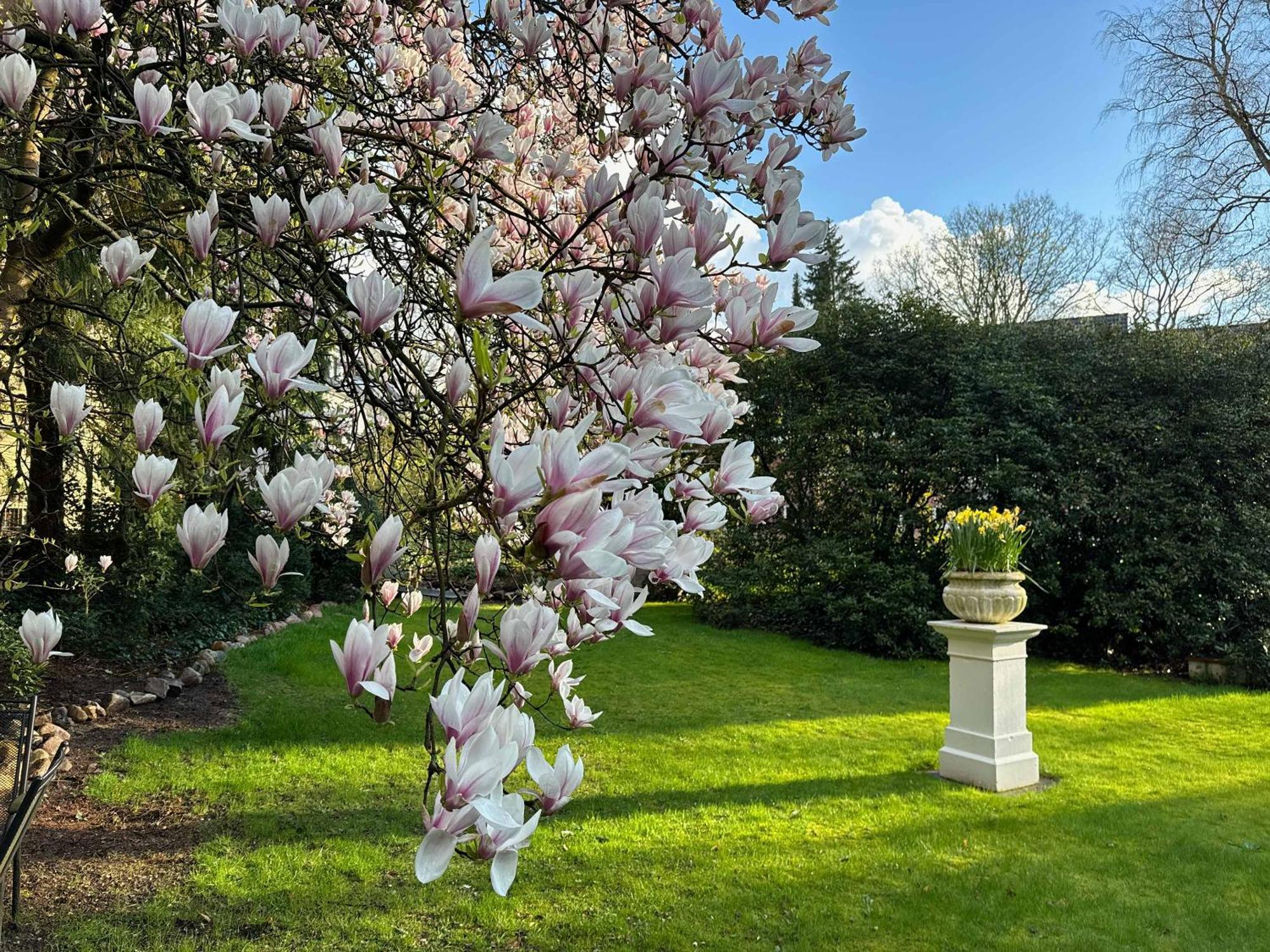 Einzelzimmer mit Gartenblick