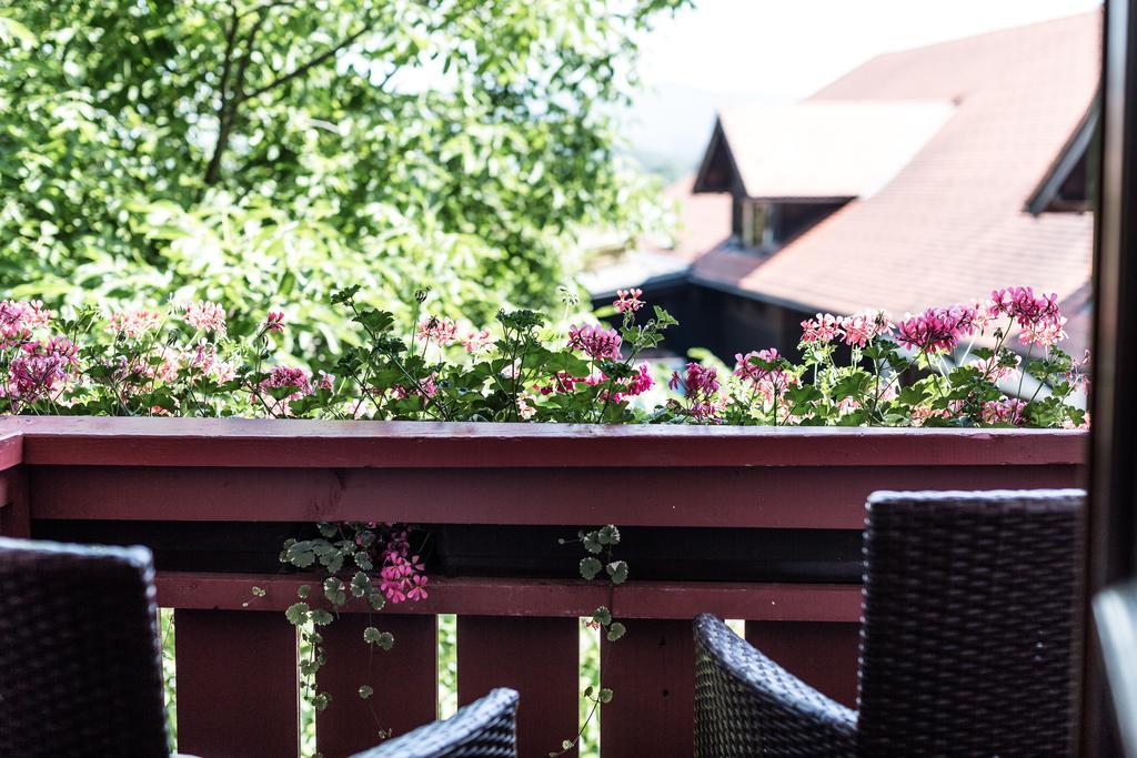 Comfort Einzelzimmer mit Gartenblick