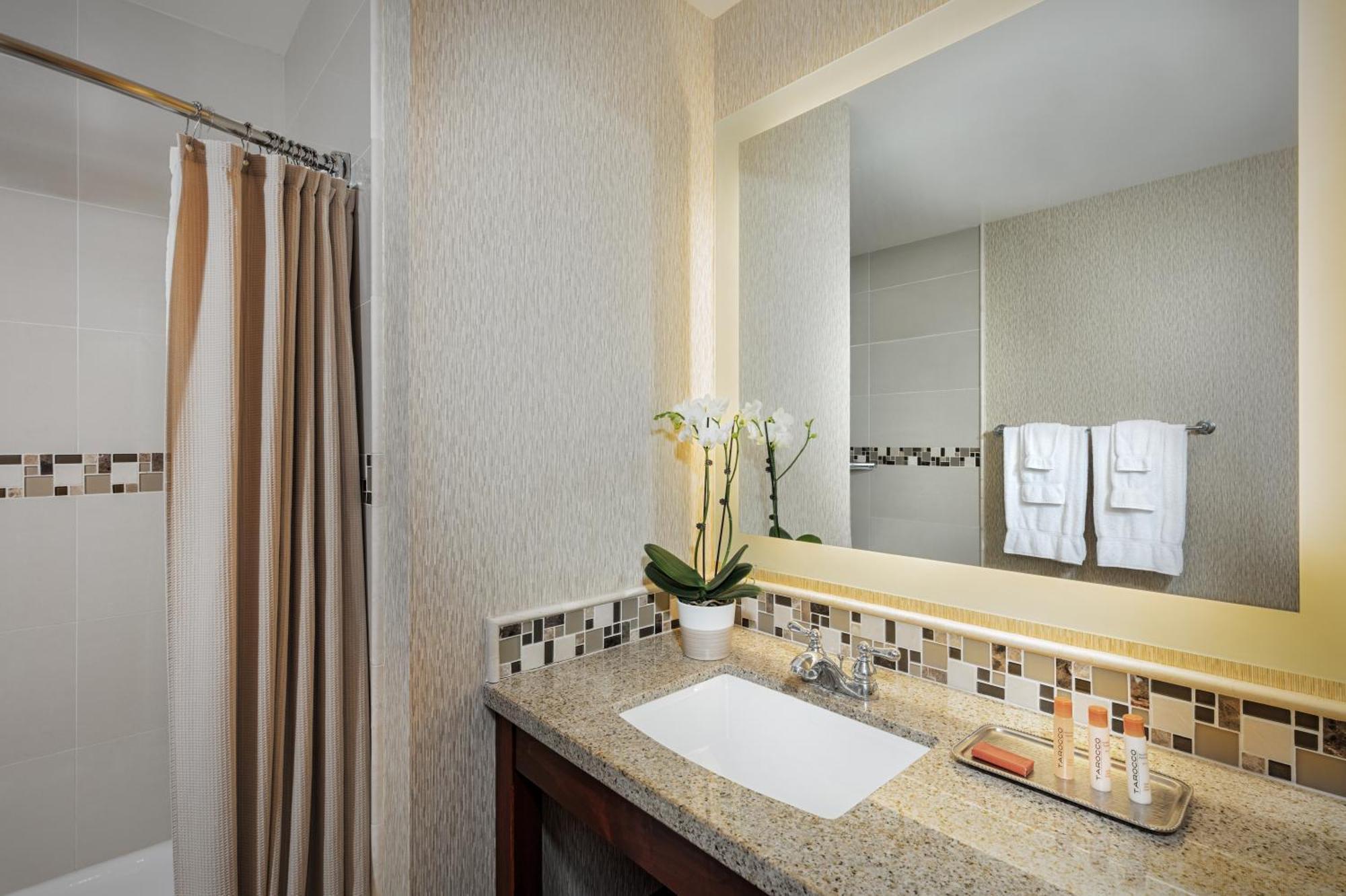 Bay Suite 2 Queens,1434412804:JPEG