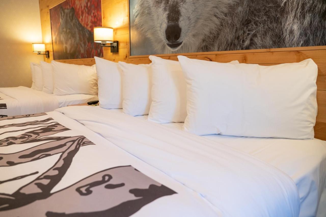 Junior Suite with Two Queen Beds,1220699911:JPEG