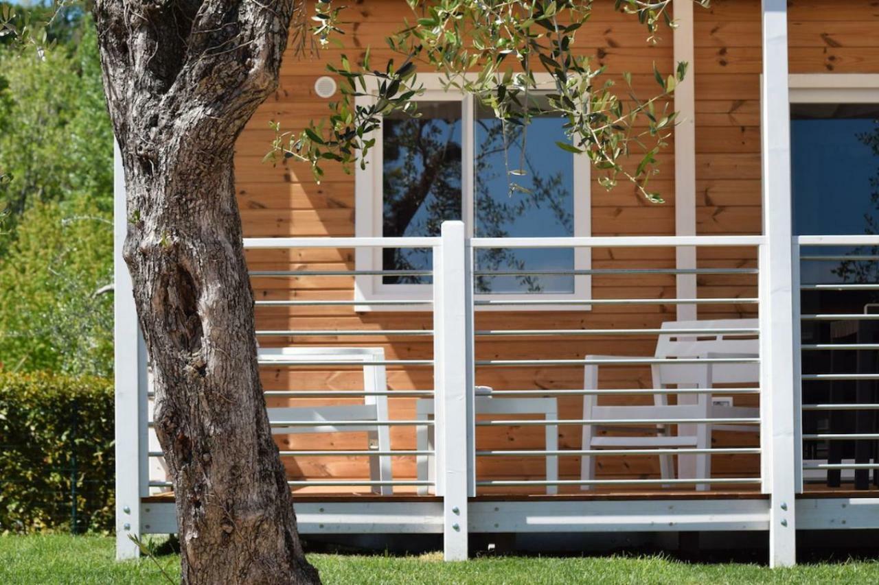 Two-Bedroom Mobile Home (Pets Allowed)