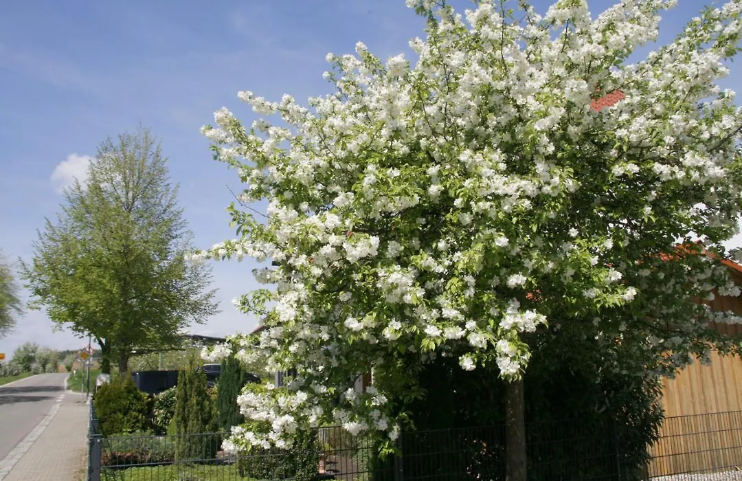 Waldvogel Ferienzimmer klimatisiert-1