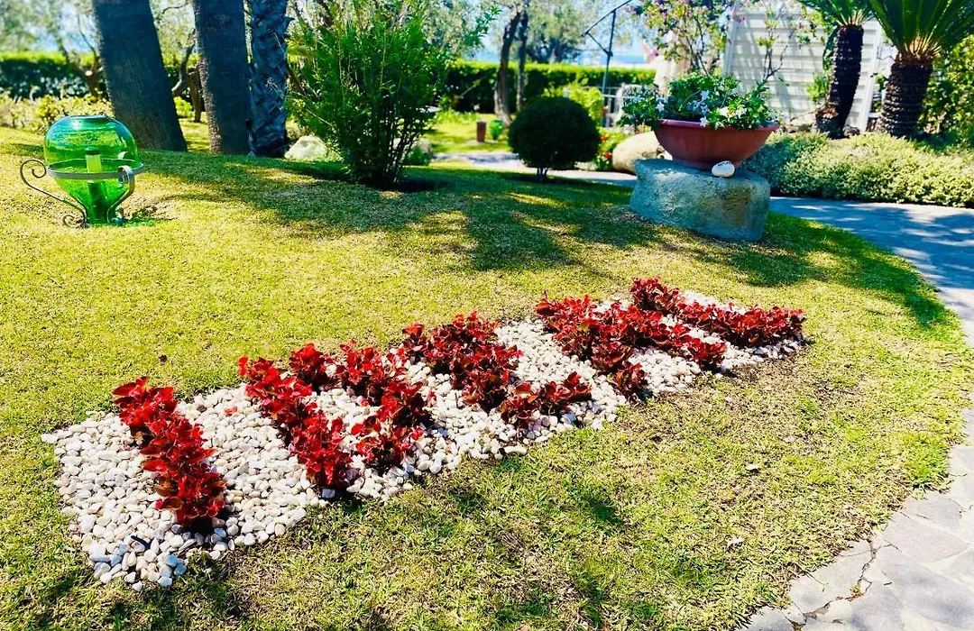 Hotel Ideal-1