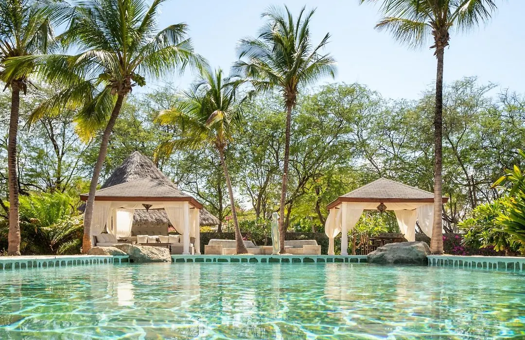 Lion In The Sun Boutique Hotel & Spa-1