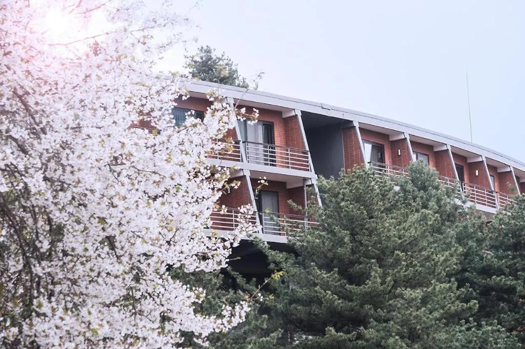 Walkerhill Douglas House (Adults Only)-1
