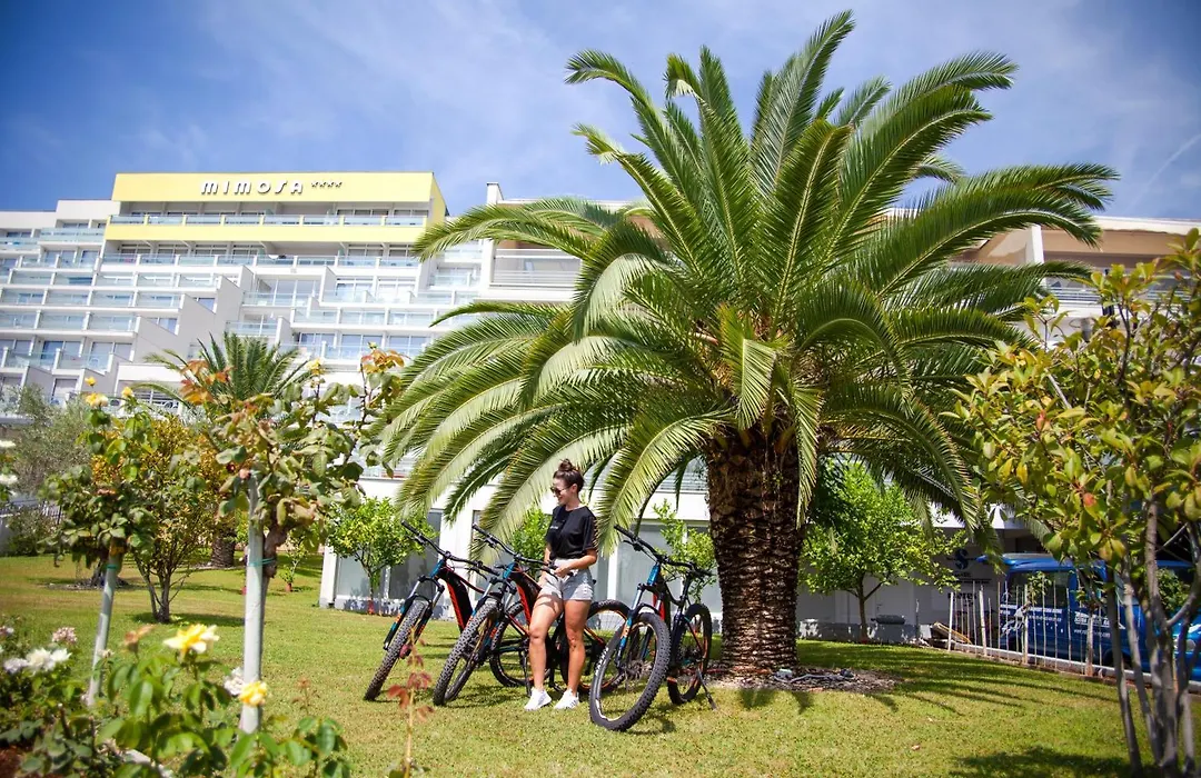 Maslinica Mimosa Lido Palace Hotel-1
