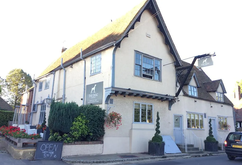 The Dog At Wingham-1