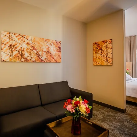 Springhill Suites By Marriott Tarrytown Westchester County-2