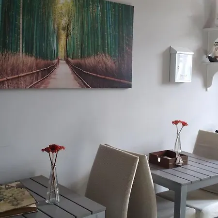 Guest House Antero de Quental-2