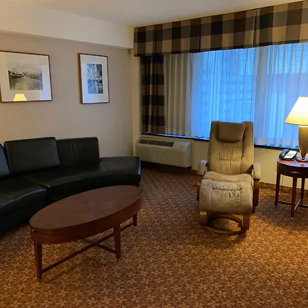Holiday Inn Johnstown-Downtown By Ihg-2