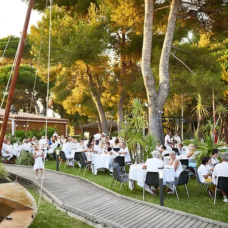 Hotel Club Le Plein Sud Vacances Bleues-2