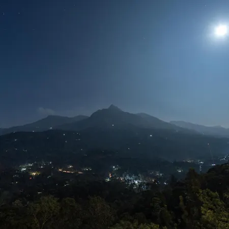 Eterno Camellia & Elettaria Luxury Resort Munnar-3