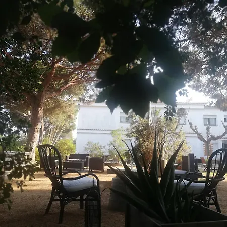 Hostal Los Pinares-2