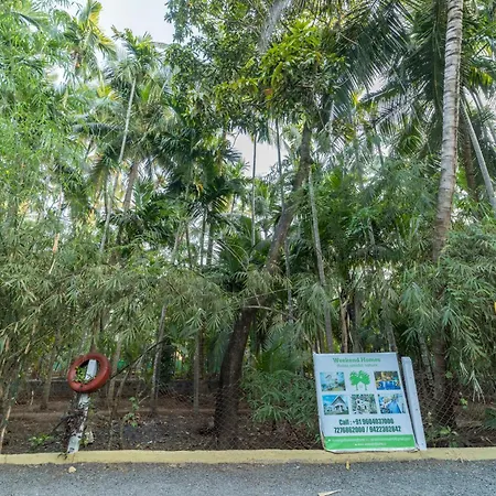 Coconut Beach Farm-3