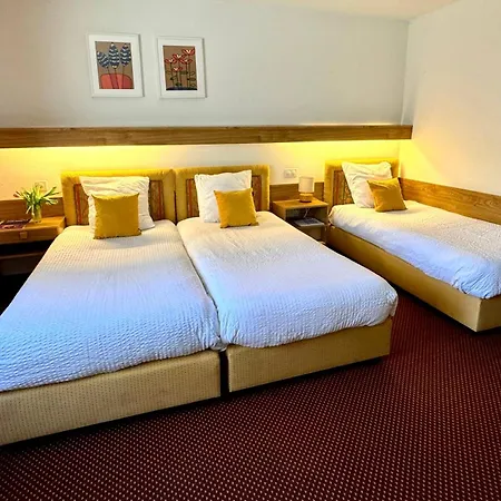 Hotel De La Foret-2