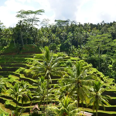 Viceroy Bali-2