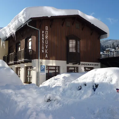 Pension Boruvka-2
