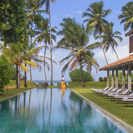 The Frangipani Tree By Edwards Collection - Thalpe-2