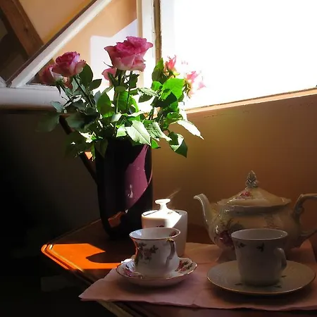 Wild Roses-2