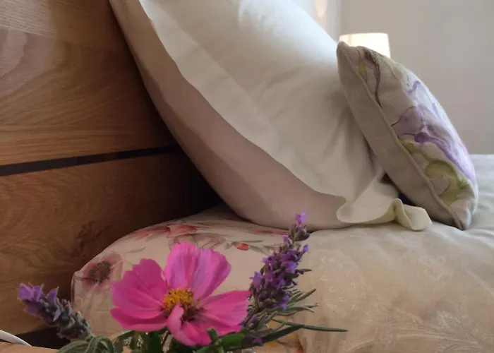 La Perle Des Montagnes - Bed And Breakfast - Chambre D Hote