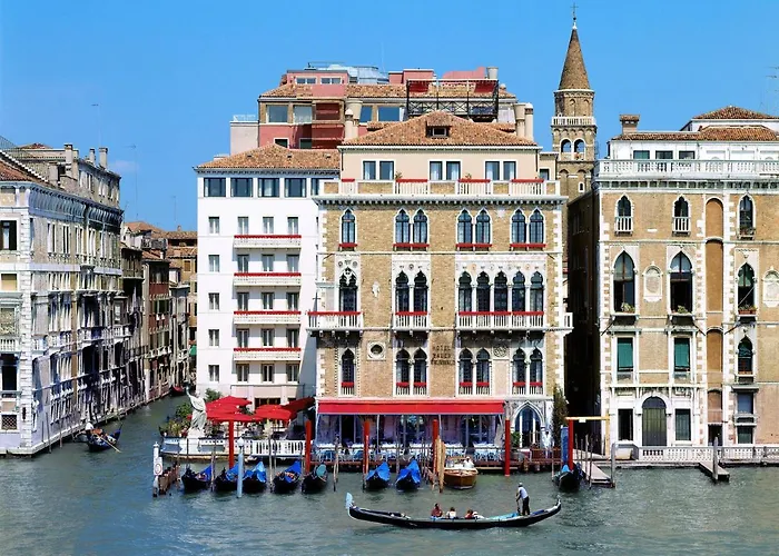 Hôtel accueillant les animaux: Bauer Il Palazzo