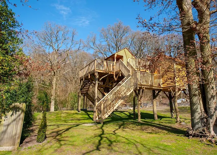 Oakside Tree Tops