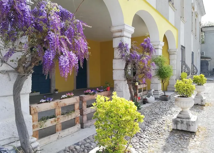 Hotel adatto agli animali: B&B Villa Venga