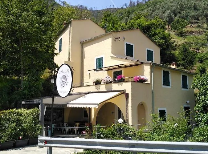  Il Ghiro