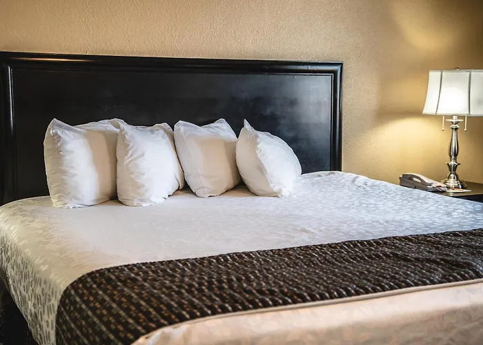 Dog friendly hotels Stone Castle & Conference Center