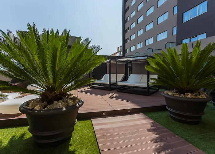 Perros hoteles HF Fénix
