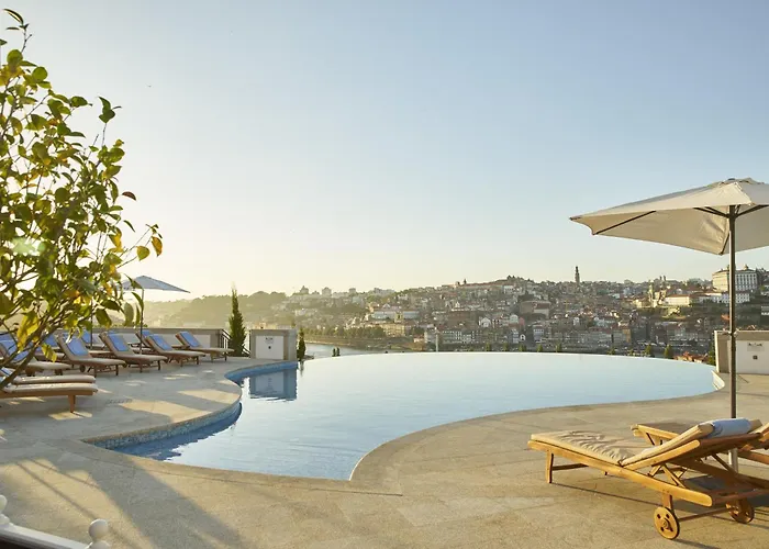 Perros hoteles Yeatman