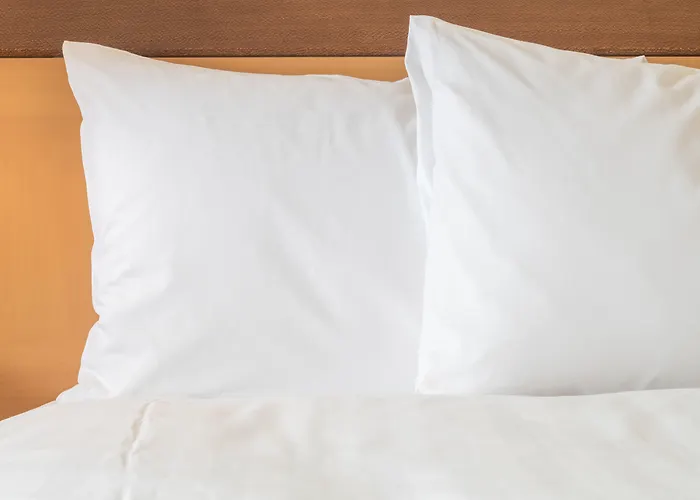 Holiday Inn Express Nashville Airport By Ihg