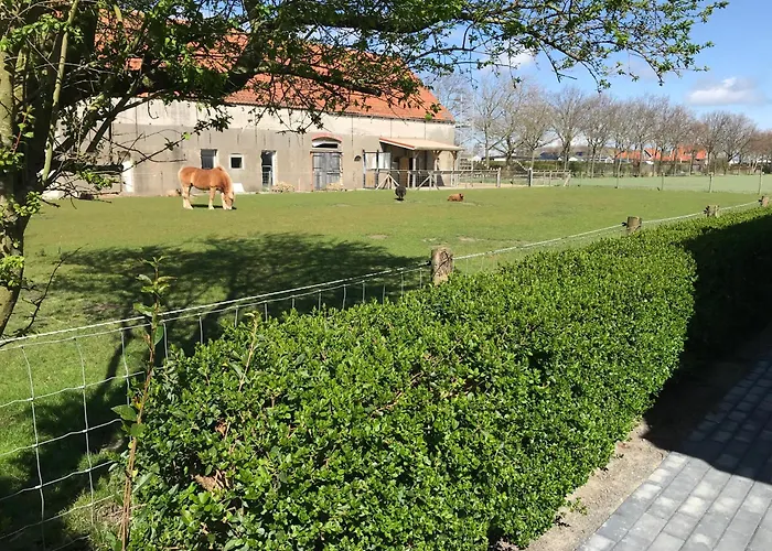 Vakantiewoningen De Schelp