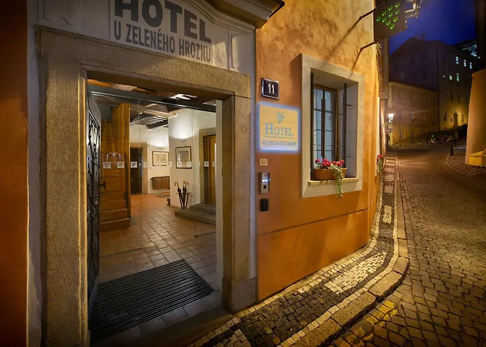 Hotel At the Green Grape
