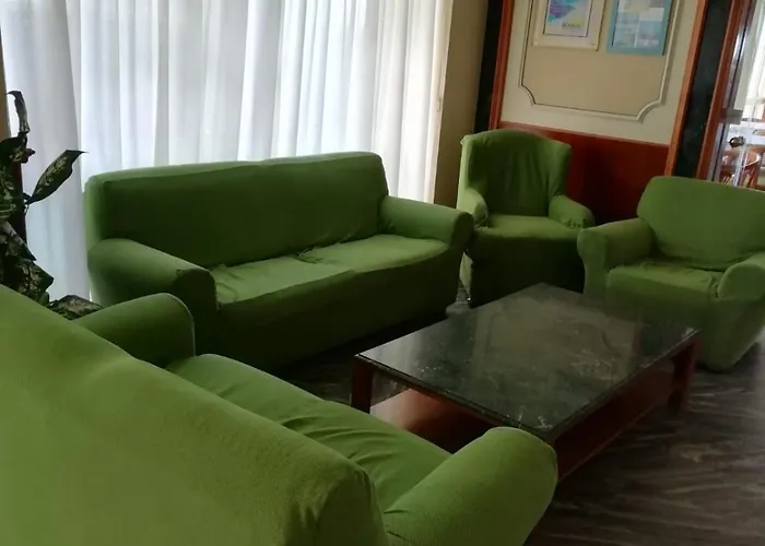 Hotel adatto agli animali: Hotel Boston