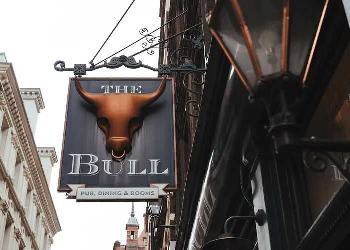 Bull And The Hide