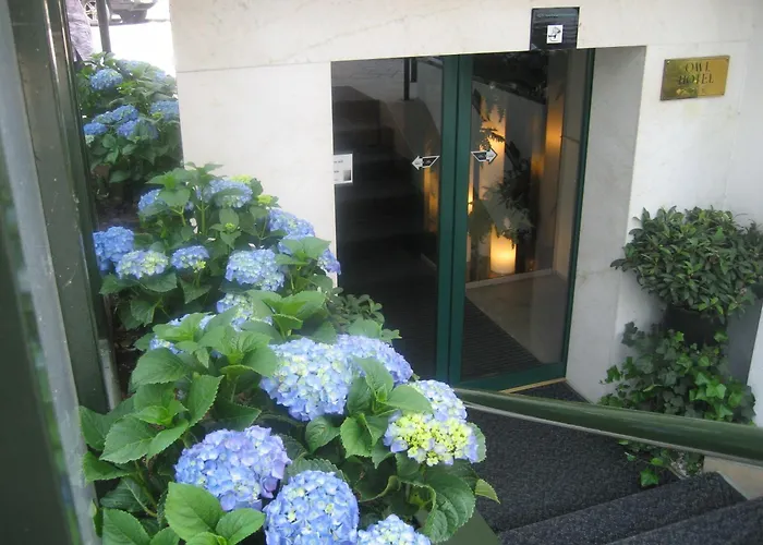3 star hotel: Owl Hotel