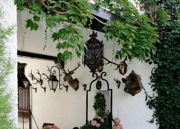 Hôtel de plage: Hôtellerie Du Bas-Bréau