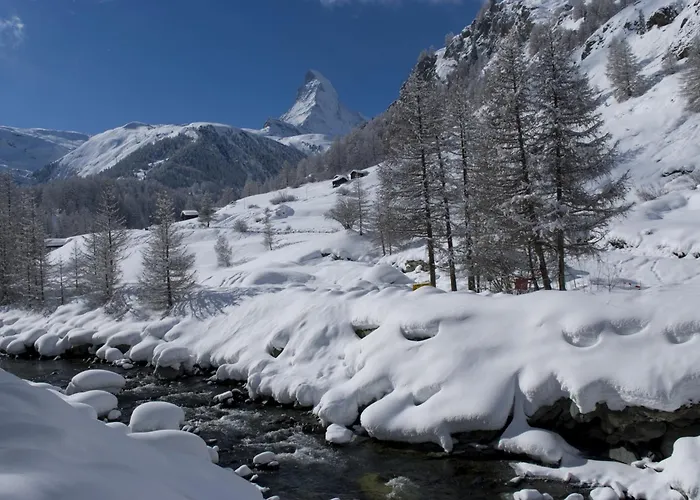 Hotel Garni Testa Grigia