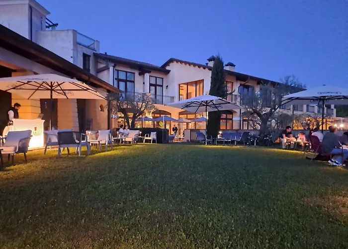  Il Cigno
