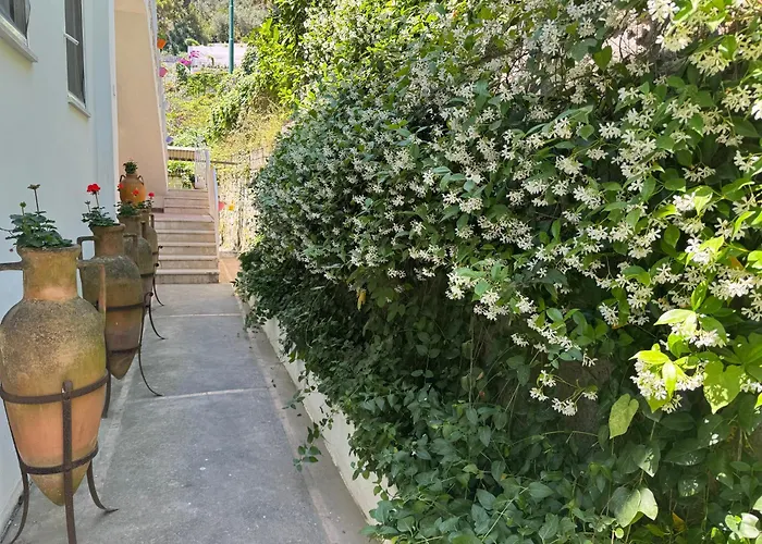 Villa Striano Capri - Guest House - Rooms Garden&Art