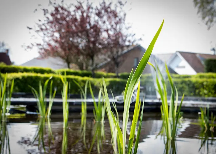 Holiday Suites De Haan