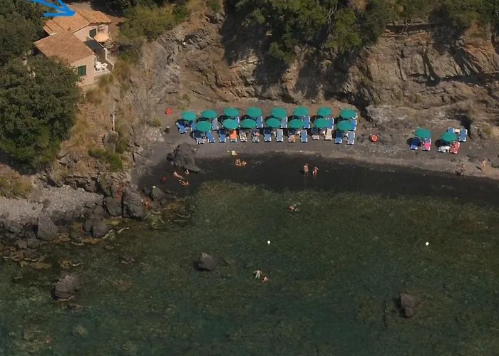 Hotel adatto agli animali: illicini