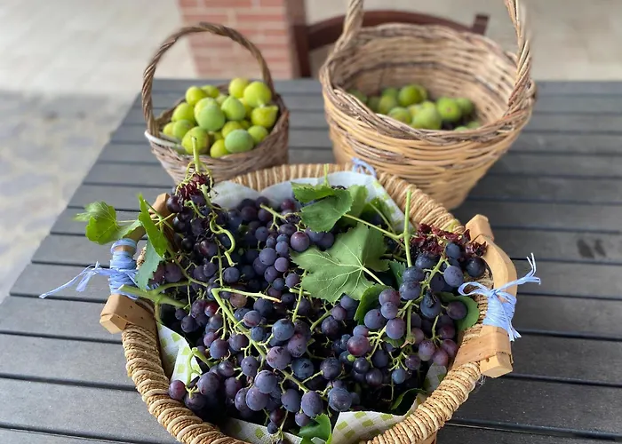  Vittoria