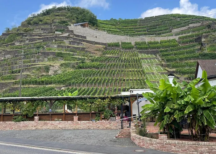 Winzerschenke
