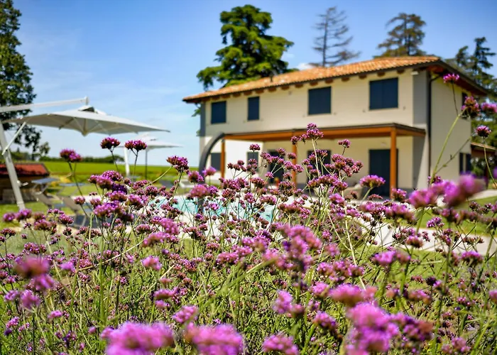 Tenuta Cà Bassa